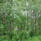 3478 N Black Night Drive, Houston, AK 99694 ID:9059088