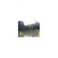 6 Wahoo Overlook Trail, Newnan, GA 30263 ID:9313007