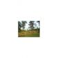 6 Wahoo Overlook Trail, Newnan, GA 30263 ID:9313008