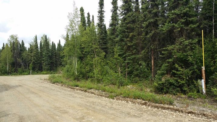 13327 N Canoe Way, Willow, AK 99688