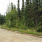 13327 N Canoe Way, Willow, AK 99688 ID:9218161