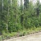 13327 N Canoe Way, Willow, AK 99688 ID:9218162