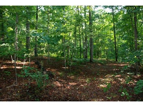 0 Woodhaven Drive, Cumming, GA 30041