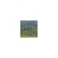 248 Funny Farm Road, Cleveland, GA 30528 ID:8980690