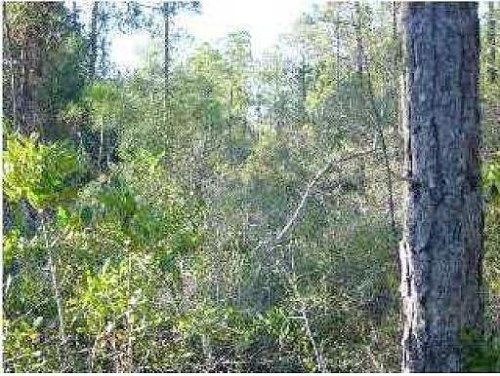 21St Ave Apalachicola, Apalachicola, FL 32320