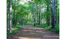 1539 Bear Creek Lot 4 Road Moreland, GA 30259