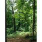 535 Greenland Road, Atlanta, GA 30342 ID:9080774