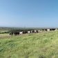 95-1178 KAALAIKI RD, Naalehu, HI 96772 ID:9158509