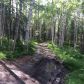 905 Ballaine Road, Fairbanks, AK 99709 ID:9338006