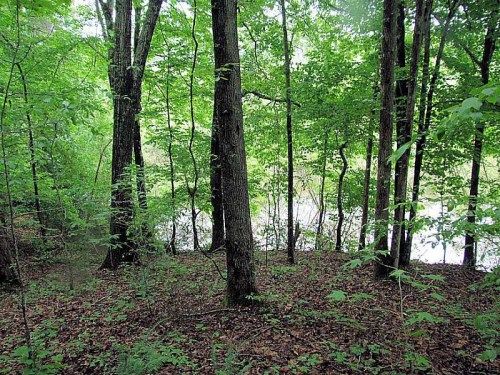 0 Martin Boulevard, Dahlonega, GA 30533