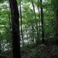 0 Martin Boulevard, Dahlonega, GA 30533 ID:9326386