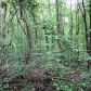 0 Martin Boulevard, Dahlonega, GA 30533 ID:9326388
