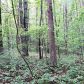 0 Martin Boulevard, Dahlonega, GA 30533 ID:9326390
