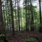 0 Martin Boulevard, Dahlonega, GA 30533 ID:9326391