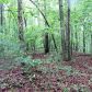 0 Martin Boulevard, Dahlonega, GA 30533 ID:9326392