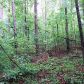 0 Martin Boulevard, Dahlonega, GA 30533 ID:9326393