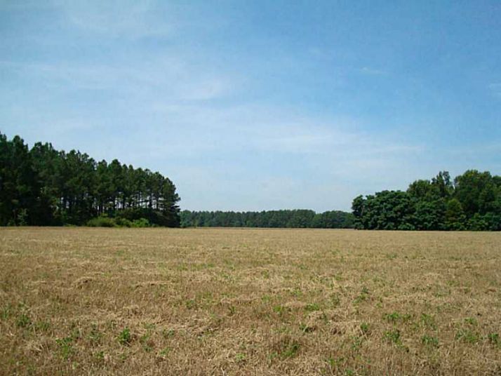 0 Heards Bridge Road E, Davisboro, GA 31018