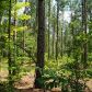0 Heards Bridge Road E, Davisboro, GA 31018 ID:2588085