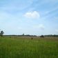 0 Heards Bridge Road E, Davisboro, GA 31018 ID:2588089