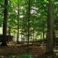 0 Heards Bridge Road Se, Davisboro, GA 31018 ID:2548762