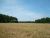 0 Heards Bridge Road E Davisboro, GA 31018