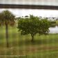 2800 W Golf Blvd # 225, Pompano Beach, FL 33064 ID:9369075