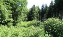 1441 East End Road Homer, AK 99603