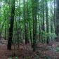 16 Old Jones Mill Road Ne, White, GA 30184 ID:8879077