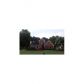 701 Overhill Court, Woodstock, GA 30189 ID:8818998
