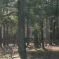 1615 Juniper Church Rd, Four Oaks, NC 27524 ID:9405599