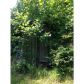 5595 Cove Road, Jasper, GA 30143 ID:9338574