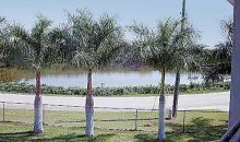 145 Horseshoe Terra Ceia, FL 34250