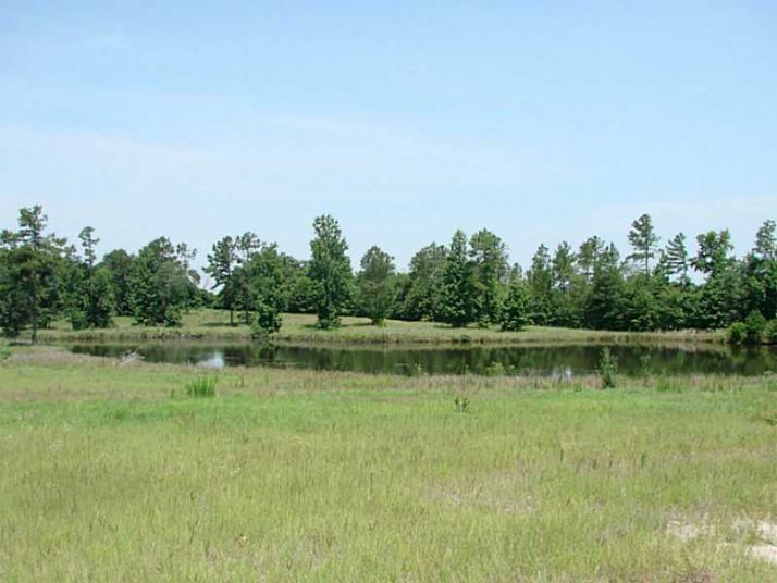 4468 Langston Drive, Millen, GA 30442