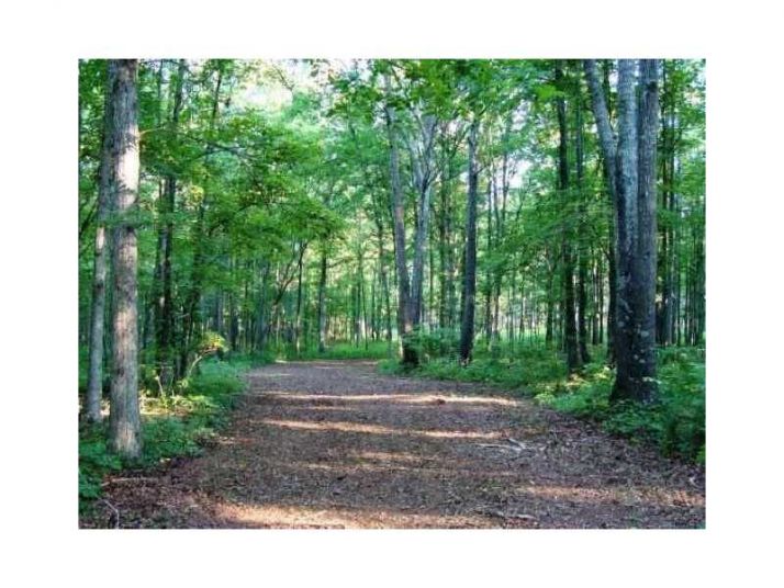 1539 Bear Creek Lot 4 Road, Moreland, GA 30259