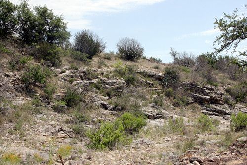 0 FM 1311, Mason, TX 76856