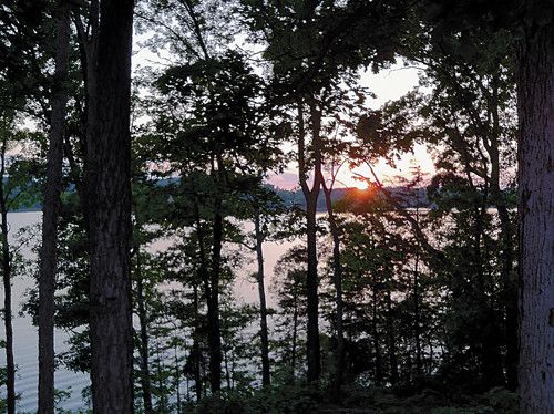 1212 Shadow Hill Drive, Lenoir City, TN 37772