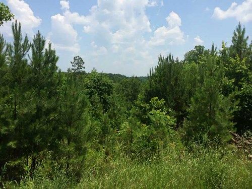 3 Soap Creek Road, Ball Ground, GA 30107