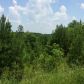 3 Soap Creek Road, Ball Ground, GA 30107 ID:9022968