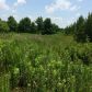 3 Soap Creek Road, Ball Ground, GA 30107 ID:9022969