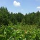 3 Soap Creek Road, Ball Ground, GA 30107 ID:9022973