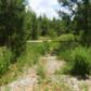 3 Soap Creek Road, Ball Ground, GA 30107 ID:9022974