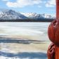 Mile 82.5 Richardson Highway, Copper Center, AK 99573 ID:8040188