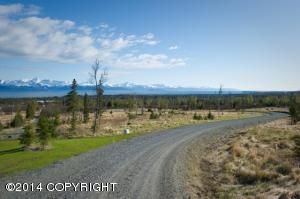 L7 B1 Triple Crown Estates, Homer, AK 99603
