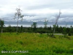 L7 B2 Triple Crown Estates, Homer, AK 99603