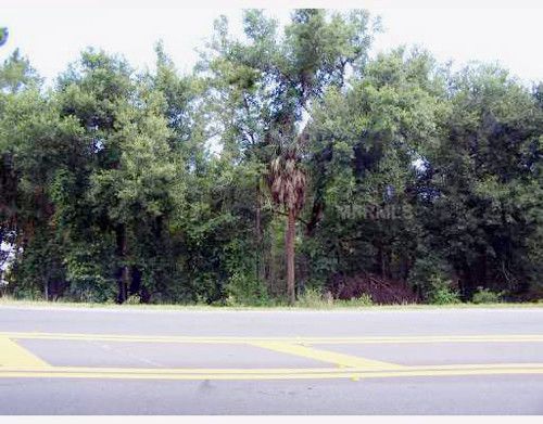 COUNTY ROAD 48, Yalaha, FL 34797