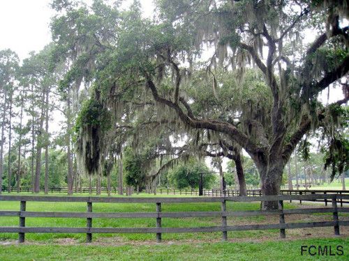 504 Raulerson Rd., Pierson, FL 32180