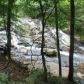 716 Clay Creek Falls Road, Dahlonega, GA 30533 ID:8980723