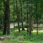 716 Clay Creek Falls Road, Dahlonega, GA 30533 ID:8980728