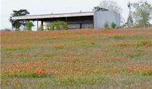 636 FM 2436 La Grange, TX 78945