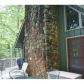 587 Etowah Trail, Dahlonega, GA 30533 ID:8820278